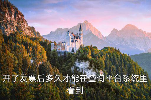 勾選平臺什么時候可以查到發(fā)票，已經(jīng)開具的專用發(fā)票多久才能在勾選平臺中查到