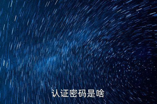 網(wǎng)上認證的密碼是什么意思啊，市民身份證手機認證服務(wù)密碼是什么意思在線等急