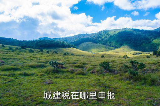 地稅城市維護(hù)建設(shè)稅按什么申報(bào)，城建稅申報(bào)