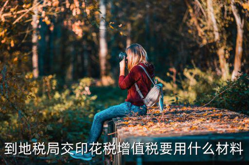 賬簿印花稅去地稅買要帶什么資料，購(gòu)買印花稅帶什么資料