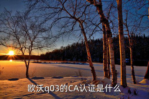 ca認證密碼是什么情況，歐沃q03的CA認證是什么