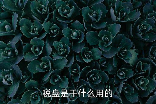 為什么要買金稅盤，稅控盤是一定要買的嗎