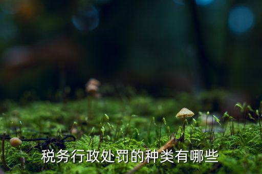 涉稅行政處罰包括什么，什么叫稅務(wù)行政處罰當(dāng)事人