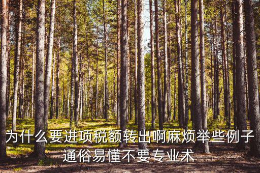 為什么要進項稅額轉(zhuǎn)出，為什么要進項稅額轉(zhuǎn)出啊麻煩舉些例子通俗易懂不要專業(yè)術(shù)