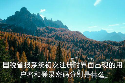 河南省國稅申報系統(tǒng)帳號是什么，請問國稅申報用戶號是什么密碼又是什么
