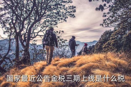 金稅三期從什么上線，國家最近公告金稅三期上線是什么稅