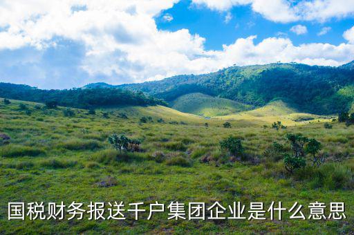 國稅財務(wù)報送千戶集團企業(yè)是什么意思
