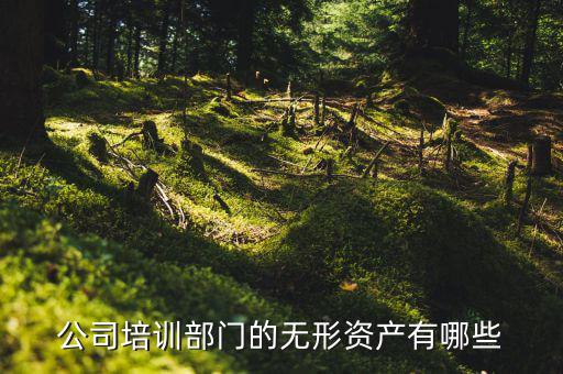其他權(quán)益性無(wú)形資產(chǎn)是什么，無(wú)形資產(chǎn)屬于什么科目
