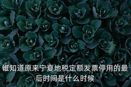 地稅的發(fā)票什么時候不能用，誰知道原來寧夏地稅定額發(fā)票停用的最后時間是什么時候