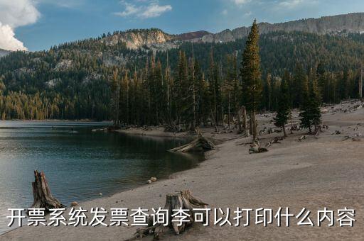 發(fā)票查詢什么內(nèi)容，通過發(fā)票可以查到買了什么東西嗎