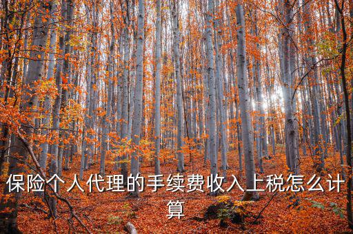 保險(xiǎn)代理員交什么稅，請問從車輛保險(xiǎn)代理人的提承里扣的稅是什么稅啊