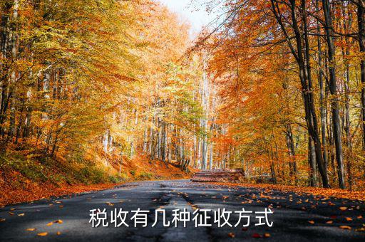 稅務(wù)征非稅采取什么方式，稅務(wù)征收有哪幾種