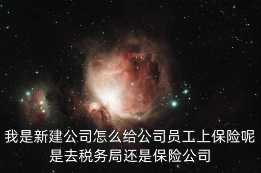 稅務(wù)局保險(xiǎn)是什么，稅務(wù)局讓企業(yè)交得規(guī)費(fèi)和參保費(fèi)是什么