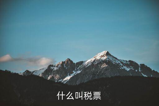 納稅稅票是什么，什么叫稅票