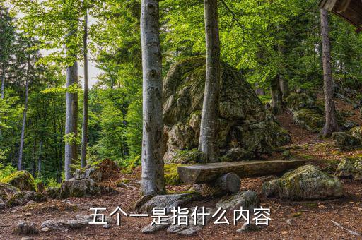 稅務(wù)五個一指什么意思，稅務(wù)指的是什么
