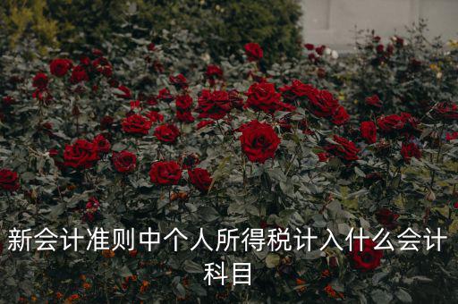 所得稅費用什么科目，新會計準則中個人所得稅計入什么會計科目