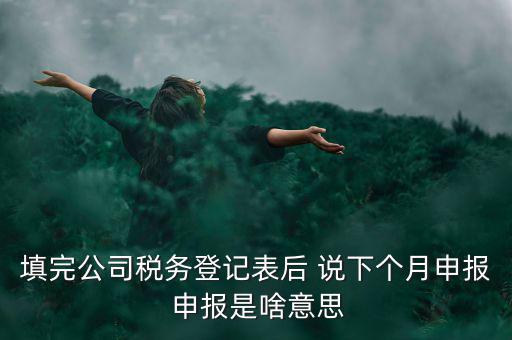 納稅登記表是什么意思，填完公司稅務(wù)登記表后 說(shuō)下個(gè)月申報(bào) 申報(bào)是啥意思