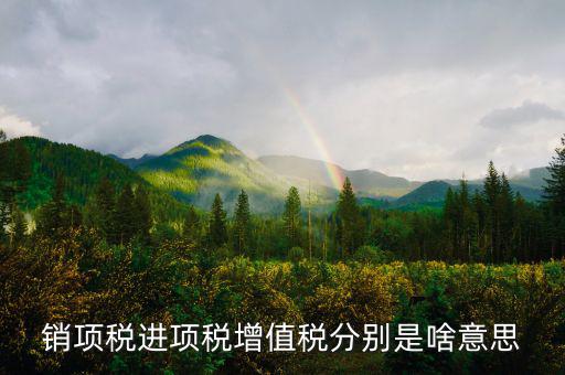 什么是銷項和進(jìn)項，進(jìn)項稅和銷項稅是什么意思