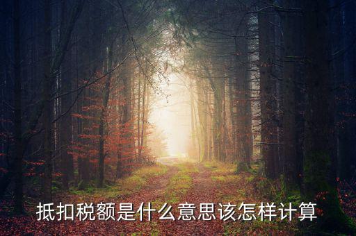 抵免稅額是什么意思，抵扣稅額是什么意思該怎樣計(jì)算