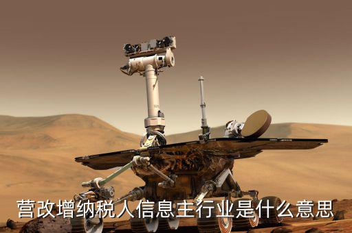 國稅主行業(yè)都是什么意思，營改增納稅人信息主行業(yè)是什么意思