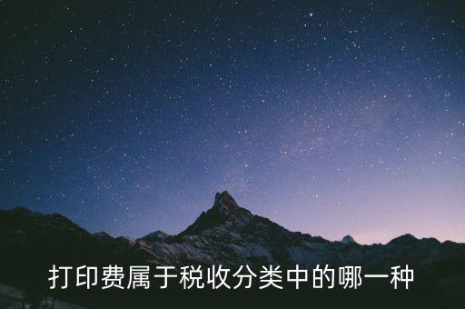打字復(fù)印是什么稅種，我在鄉(xiāng)鎮(zhèn)辦了一家打字復(fù)印店請問需交納哪些稅
