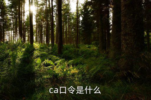 ca證書驗(yàn)證口令是什么，ca口令是什么