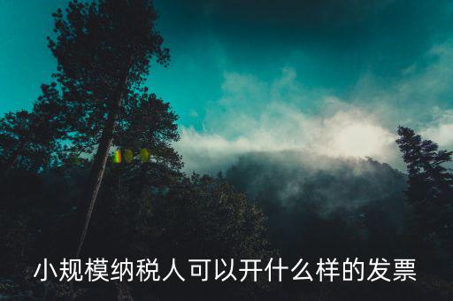 小規(guī)模領(lǐng)用什么發(fā)票，小規(guī)模納稅人可以開什么樣的發(fā)票