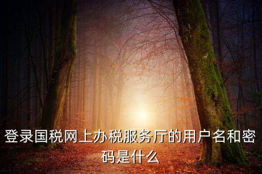 國(guó)稅默認(rèn)賬號(hào)是什么意思，你好我想問(wèn)你 一下 網(wǎng)上國(guó)稅的用戶(hù)名和密碼是什么
