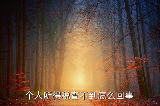 個(gè)人所得稅扣減為什么查不到，個(gè)人所得稅為什么不能在網(wǎng)上查找