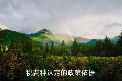 什么是稅費(fèi)種認(rèn)定信息查詢，稅費(fèi)種認(rèn)定信息在哪里查看