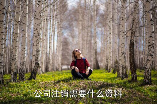 企業(yè)注銷(xiāo)需提供什么資料，公司注銷(xiāo)需要哪些資料