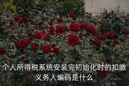 扣繳人義無編碼是什么，扣繳義務(wù)人編碼是什么