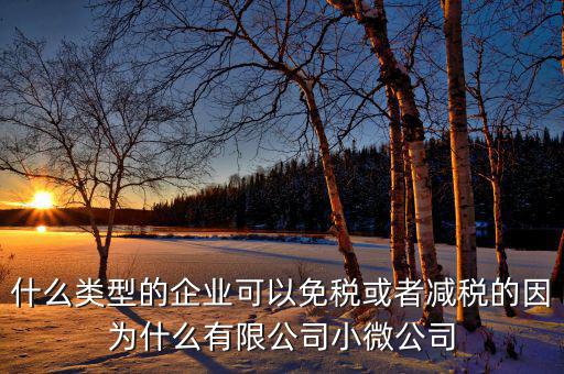 什么樣的企業(yè)可免稅，請問什么樣的公司可以得到免稅
