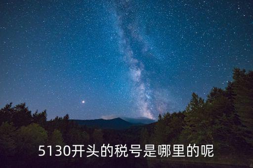 四川一般納稅人稅號(hào)以什么開頭，5130開頭的稅號(hào)是哪里的呢