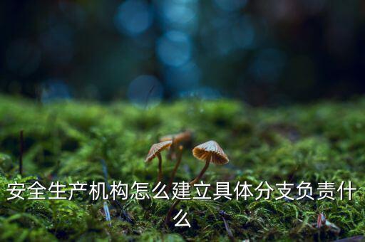 什么是三級(jí)分支機(jī)構(gòu)，英語(yǔ)三級(jí)發(fā)證機(jī)構(gòu)是什么