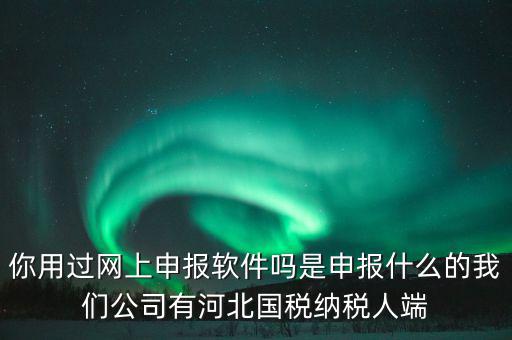 企業(yè)申報(bào)客戶端是什么，你用過網(wǎng)上申報(bào)軟件嗎是申報(bào)什么的我們公司有河北國稅納稅人端