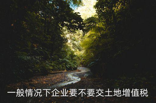 什么企業(yè)交土地增值稅，一般情況下企業(yè)要不要交土地增值稅