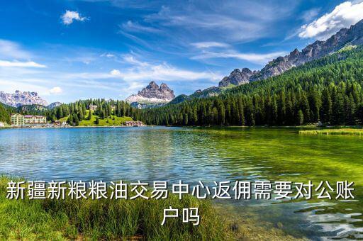 新疆地稅用戶名是什么，全國會計繼續(xù)教育網(wǎng)注冊用戶名怎樣填