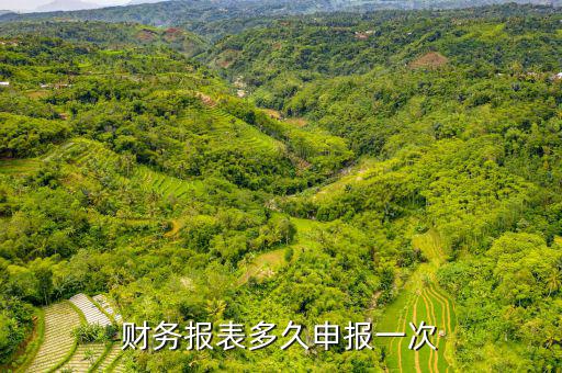 2016年財務報表什么時候申報，國稅財務報表年報什么時間報