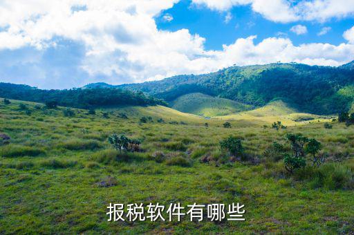 四川報(bào)稅軟件叫什么名字，網(wǎng)上報(bào)稅的那個(gè)軟件叫什么呀