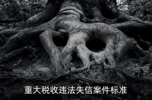 重大稅收違法是什么意思，實(shí)名辦稅黑名單納稅人是什么意思