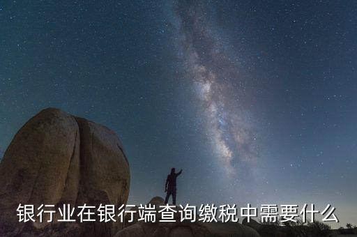 銀行端查詢繳款需要帶什么，銀行業(yè)在銀行端查詢繳稅中需要什么