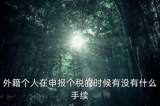 外籍個人在申報(bào)個稅的時候有沒有什么手續(xù)