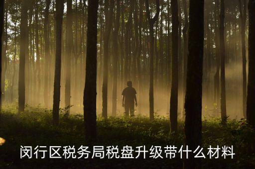 去升級稅控盤要帶什么，去國稅稅控盤升級需要帶哪些材料