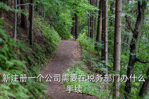 新辦企業(yè)需要到地稅辦理什么手續(xù)費，新注冊一個公司需要在稅務(wù)部門辦什么手續(xù)