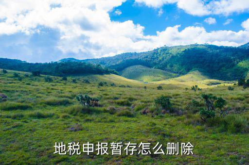 為什么地稅個(gè)稅申報(bào)刪除不了，社保清單是不是可以在地稅局網(wǎng)上打印的個(gè)稅申報(bào)刪行怎么刪除不了