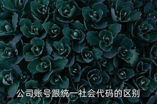 賬號(hào)上的統(tǒng)一社會(huì)代碼是什么意思，統(tǒng)一社會(huì)信用代碼有什么用
