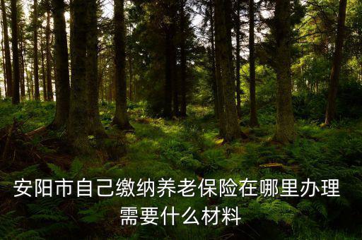 安陽(yáng)地稅局交個(gè)人保險(xiǎn)在什么地方，安陽(yáng)市醫(yī)保交費(fèi)在哪里地稅局