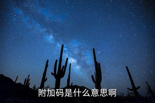 遼寧查發(fā)票有一個(gè)附加碼是什么，發(fā)票真?zhèn)尾樵?xún)碼是什么