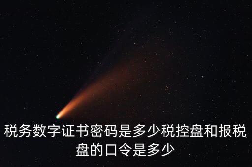 新報稅盤密碼是什么，稅務(wù)數(shù)字證書密碼是多少稅控盤和報稅盤的口令是多少